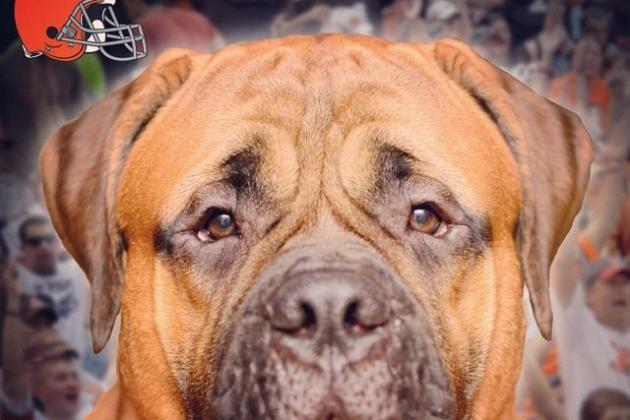 Cleveland Browns to Feature Bullmastiff Named 'Swagger' as New Mascot