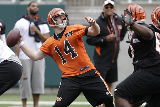 Will Bengals Earn a Fourth Consecutive Playoff Appearance?