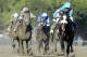 Mentor Cane with Jockey Edgar Prado, right, is chased down by Capo Baston with Jockey Irad Ortiz Jr. to a second place finish in the Kings Bishop Stakes horse race at Saratoga Race Course in Saratoga Springs, N.Y., Saturday, Aug. 24, 2013. (AP Photo /Hans Pennink)