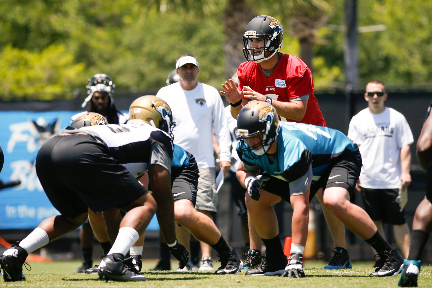 The Latest Jacksonville Jaguars News SportSpyder