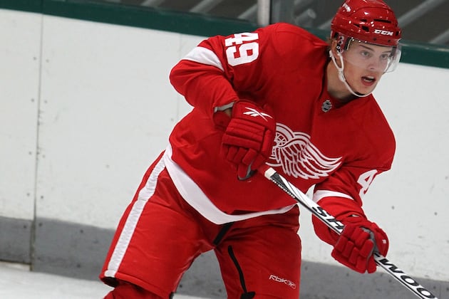 Wings Re-Sign Prospects Callahan, Nestrasil