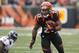 Giovani Bernard is set to be a star in Hue Jackson's Bengals offense, but will that propel him into the elite level of NFL running backs?