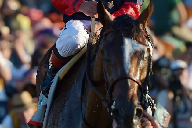 Belmont Winner Tonalist Returns in Jim Dandy