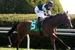Daring Dancer Takes G2 Lake George by a Head