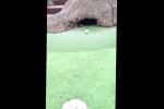 Minute-Long Mini Golf Hole-in-One Is Worth the Wait