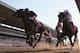 ELMONT, NY - JUNE 07: Tonalist #11 (L), ridden by Joel Rosario, races to the finish line enroute to winning the 146th running of the Belmont Stakes at Belmont Park on June 7, 2014 in Elmont, New York. (Photo by Rob Carr/Getty Images)