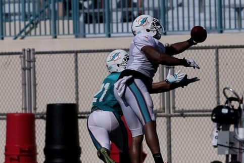 Miami Dolphins Rishard Matthews Shines