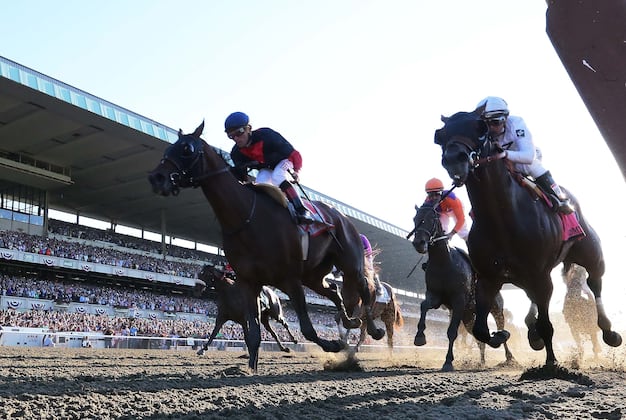 Deaths of Eight Race Horses at California Track Probed