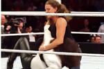 Watch: Ringside Video of Steph-Brie Brawling