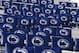 These are cushioned seats in the stands at Beaver Stadium before an NCAA college football game between Penn State and Eastern Michigan in State College, Pa., Saturday, Sept. 7, 2013. (AP Photo/Gene J. Puskar)