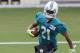 Miami Dolphins cornerback Brent Grimes (21) runs the ball during NFL football training camp in Davie, Fla., Saturday, July 26, 2014. (AP Photo/Alan Diaz)