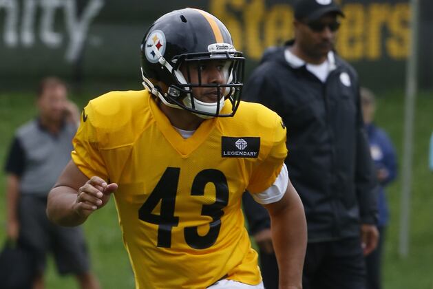 Steelers Hold High Hopes for Pass Defense