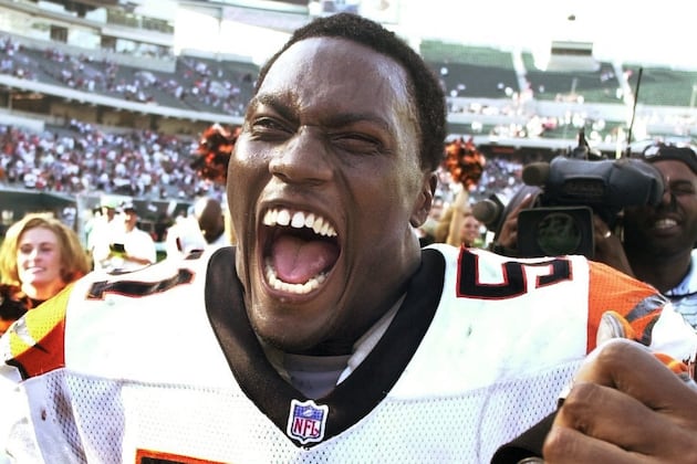 TKO Likes Fight in Burfict, Bengals