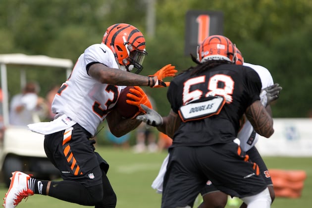 Scuffles Break out in Bengals Training Camp
