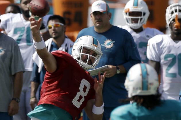 Dolphins QB Matt Moore Injures Shoulder