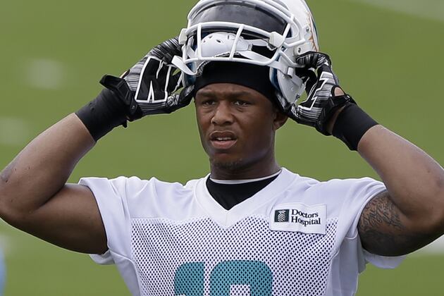 Dolphins Camp Report: Day 7