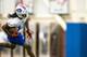 ORCHARD PARK, NY - May 18: Sammy Watkins #14 of Buffalo Bills runs with a ball during the Buffalo Bills rookie minicamp on May 18, 2014 at Ralph Wilson Stadium in Orchard Park, New York. (Photo by Brett Carlsen/Getty Images)