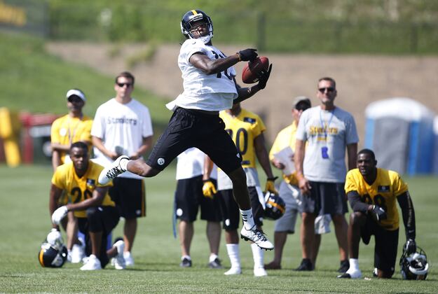 Tomlin Expects Big-Guy Plays from Bryant