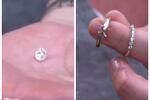 Sergio Garcia Knocks Out Diamond from Ring