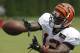 Cincinnati Bengals wide receiver Mohamed Sanu catches a pass during practice at the NFL football team's training camp, Saturday, July 26, 2014, in Cincinnati. (AP Photo/Al Behrman)