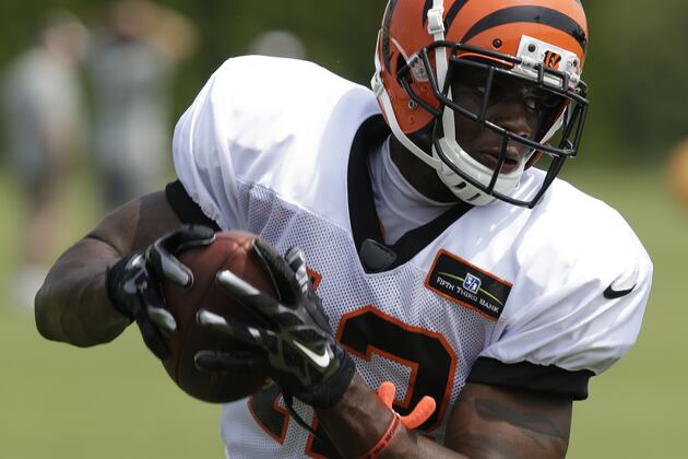 Bengals Have Options to Replace Marvin Jones