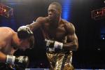 Wilder Staying Busy Before Title Shot
