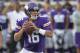 Minnesota Vikings quarterback Matt Cassel looks to pass against the Oakland Raiders in the first half of a preseason NFL football game at TCF Bank Stadium in Minneapolis, Friday, Aug. 8, 2014. (AP Photo/Jim Mone)