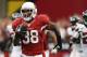 Oct 27, 2013; Phoenix, AZ, USA; Arizona Cardinals running back Andre Ellington (38) runs for an 80 yard touchdown against the Atlanta Falcons in the first half at University of Phoenix Stadium. Mandatory Credit: Jennifer Stewart-USA TODAY Sports