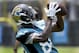 Jacksonville Jaguars receiver Allen Hurns catches a pass during an NFL organized team activities football practice in in Jacksonville, Fla., Monday, June 2, 2014. (AP Photo/John Raoux)