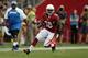 GLENDALE, AZ - SEPTEMBER 15: Running back Andre Ellington #38 of the Arizona Cardinals carries the ball against the Detroit Lions at University of Phoenix Stadium on September 15, 2013 in Glendale, Arizona. (Photo by Jeff Gross/Getty Images)