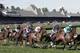 A horse race is run on a turf track at the Saratoga Race Course in Saratoga Springs, N.Y., Saturday, Aug. 18, 2007. (AP Photo/Mike Groll)