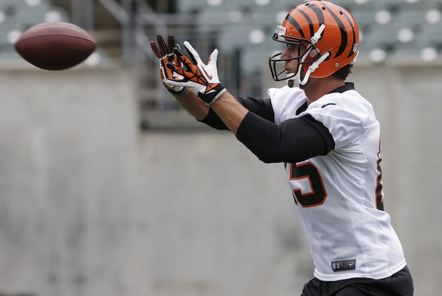 Atkins, Eifert Among 8 Inactives vs. Jets