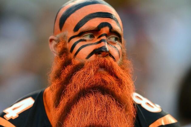 Look at This Cincinnati Bengals Fan's Ludicrous Beard