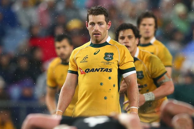 Wallabies Not Living in the Past