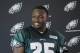 Philadelphia Eagles' LeSean McCoy speaks during a news conference after NFL football minicamp, Wednesday, June 18, 2014, in Philadelphia. (AP Photo/Matt Rourke)
