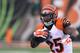 CINCINNATI, OH - AUGUST 16: Giovani Bernard #25 of the Cincinnati Bengals runs the football upfield during the game against the New York Jets at Paul Brown Stadium on August 16, 2014 in Cincinnati, Ohio. The Jets defeated the Bengals 25-17. (Photo by John Grieshop/Getty Images)