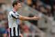 NEWCASTLE UPON TYNE, ENGLAND - MARCH 22 : Mike Williamson of Newcastle in action during the Barclays Premier League match between Newcastle and Crystal Palace at St James Park on March 22, 2014 in Newcastle Upon Tyne, England. (Photo by Mark Runnacles/Getty Images)
