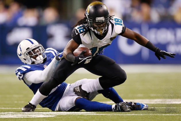 Jaguars WR Ace Sanders Returns to Team