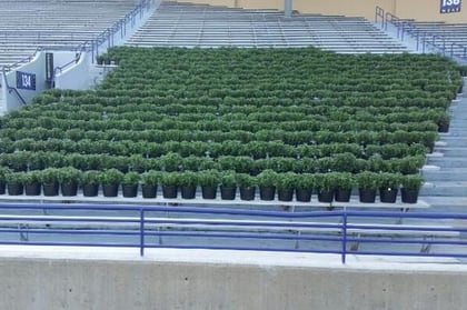Northwestern Football: Ryan Field Empty Seats to be Covered by Plants (PHOTO)