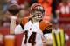 Cincinnati Bengals quarterback Andy Dalton looks for a receiver in the first half of an NFL preseason football game against the Kansas City Chiefs on Thursday, Aug. 7, 2014, in Kansas City, Mo. (AP Photo/Nati Harnik)