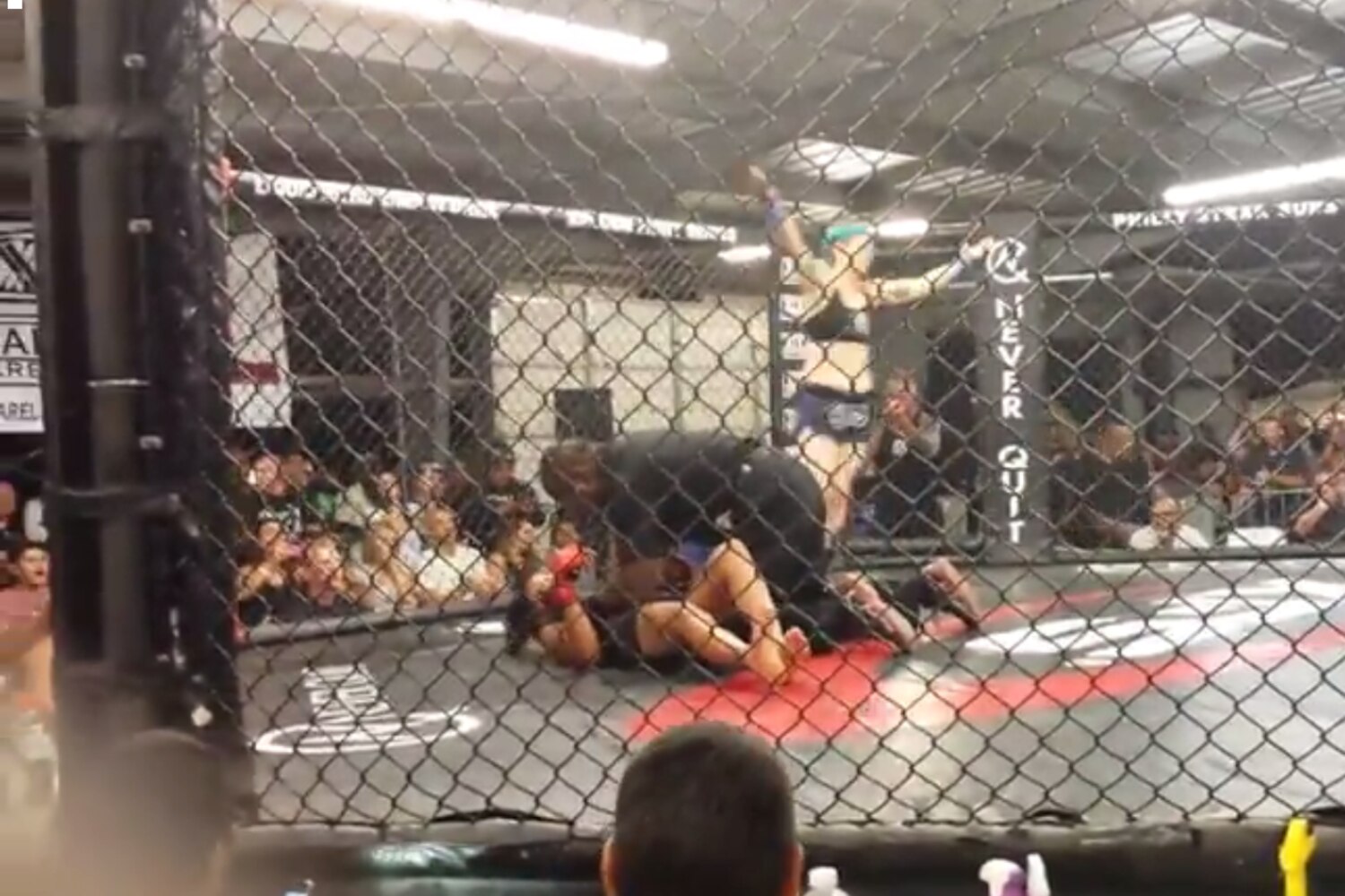 Female Fighter Scores Brutal Spinning Hook Kick Knockout in 5 Seconds
