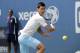 Tennis player Novak Djokovic appears at US Open Arthur Ashe Kids Day at the USTA Billie Jean King National Tennis Center on Saturday, Aug. 23, 2014 in New York. (Photo by Andy Kropa/Invision/AP)