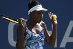 Rogue Bee Interrupts Venus Williams' Match