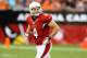 Aug 24, 2014; Glendale, AZ, USA; Arizona Cardinals kicker Jay Feely against the Cincinnati Bengals at University of Phoenix Stadium. Mandatory Credit: Mark J. Rebilas-USA TODAY Sports