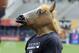 New York Yankees pitcher Shawn Kelley came out to stretch with a horse head mask on before a baseball game against the Chicago White Sox Saturday, Aug. 23, 2014, at Yankee Stadium in New York. (AP Photo/Bill Kostroun)