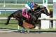 In a photo provided by Gulfstream Park, Itsmyluckyday, with jockey Paco Lopez, captures the Best of the Rest horse race at Gulfstream Park on Saturday, April 26, 2014, in Hallandale Beach, Fla. (AP Photo/Gulfstream Park/Coglianese Photos, Lauren King)