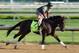 LOUISVILLE, KY - MAY 01: Itsmyluckyday trained by Eddie Plesa Jr runs on the track during the morning training for the 2013 Kentucky Derby at Churchill Downs on May 1, 2013 in Louisville, Kentucky. (Photo by Andy Lyons/Getty Images)