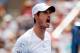 NEW YORK, NY - SEPTEMBER 01: Andy Murray of Great Britain reacts after winning a point against Jo-Wilfried Tsonga of France during their men's singles fourth round match on Day Eight of the 2014 US Open at the USTA Billie Jean King National Tennis Center on September 1, 2014 in the Flushing neighborhood of the Queens borough of New York City. (Photo by Julian Finney/Getty Images)