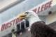 A bald eagle from Zoo New England looks out from the field before the start of an NCAA college football game between Boston College and Villanova, Saturday, Aug. 31, 2013, in Boston. Boston College is hosting a contest to name the eagle. (AP Photo/Mary Schwalm)