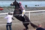 Horse Scares Jockey with Huge Jump